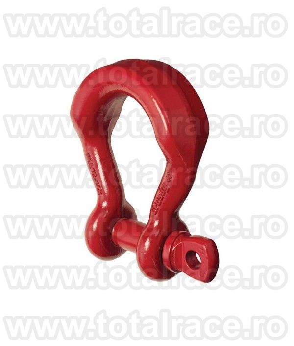 G2169 Cheie tachelaj G2169 Omega bolt filetat Crosby®