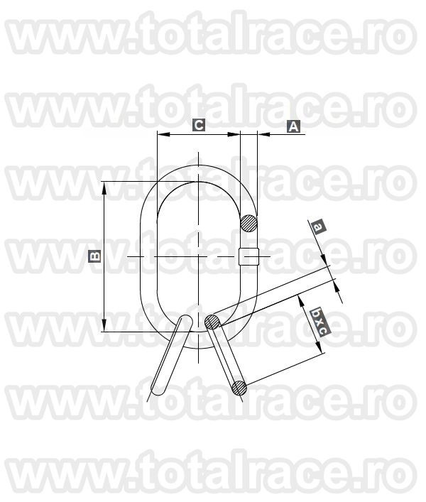 Inel ridicare 302 grad100