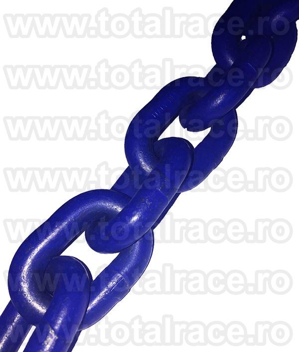 Lant ridicare grad 100 EN 818-2