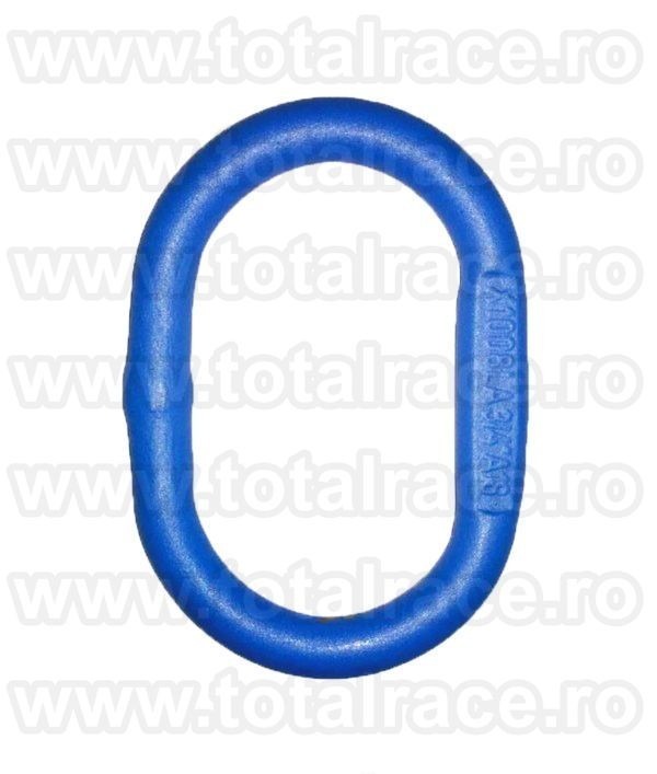 Inel principal simplu grad 100