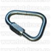 Carabina Steel Triangular Screw Gate RGK12