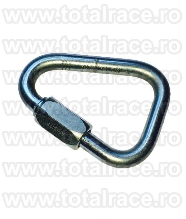 Carabina Steel Triangular Screw Gate RGK12