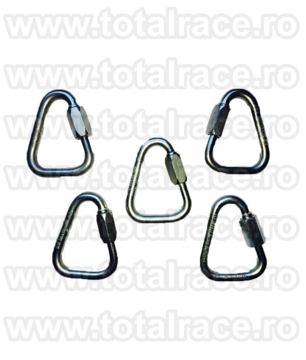 Carabina Lucru la Inaltime Steel Triangular Screw Gate RGK12