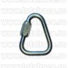 Carabina Lucru la Inaltime Steel Triangular Screw Gate RGK12