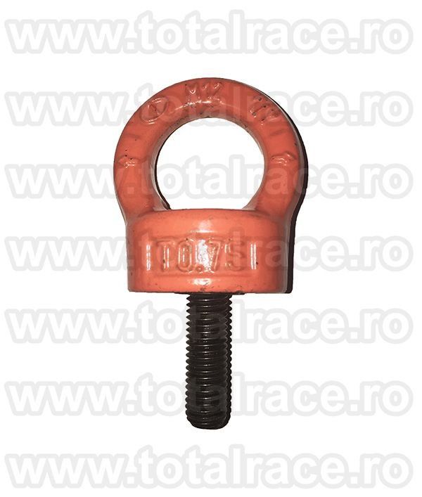 Inel ridicare surub prizonier APAL