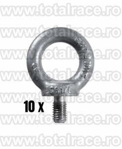 Pachet 10 ocheti surub DIN580 material C15E